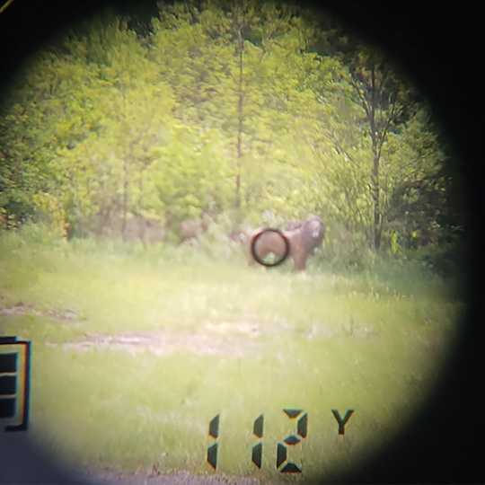 Shooter Donal Beddo viewing a 3D target through a rangefinder