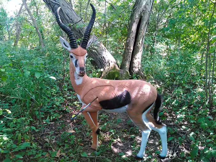 a 3D impala target photo submitted by 60X Staff Shooter, Jason Stewart