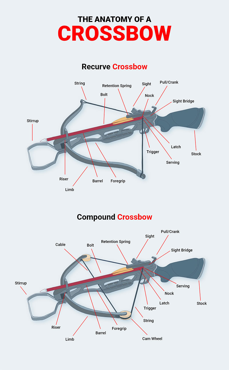 The Anatomy of a Crossbow