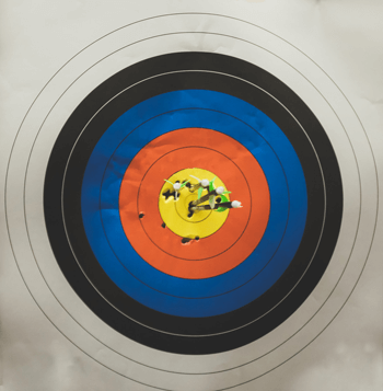 close up of arrows in center of bullseye