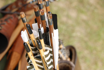 top view of arrows with two different color fletching in quiver