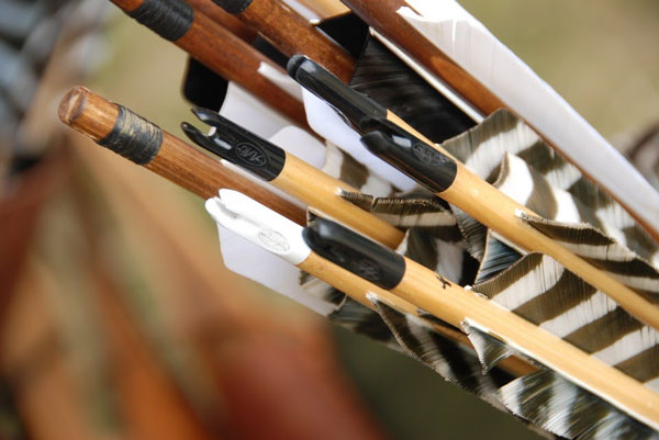 closeup of arrows in a quiver