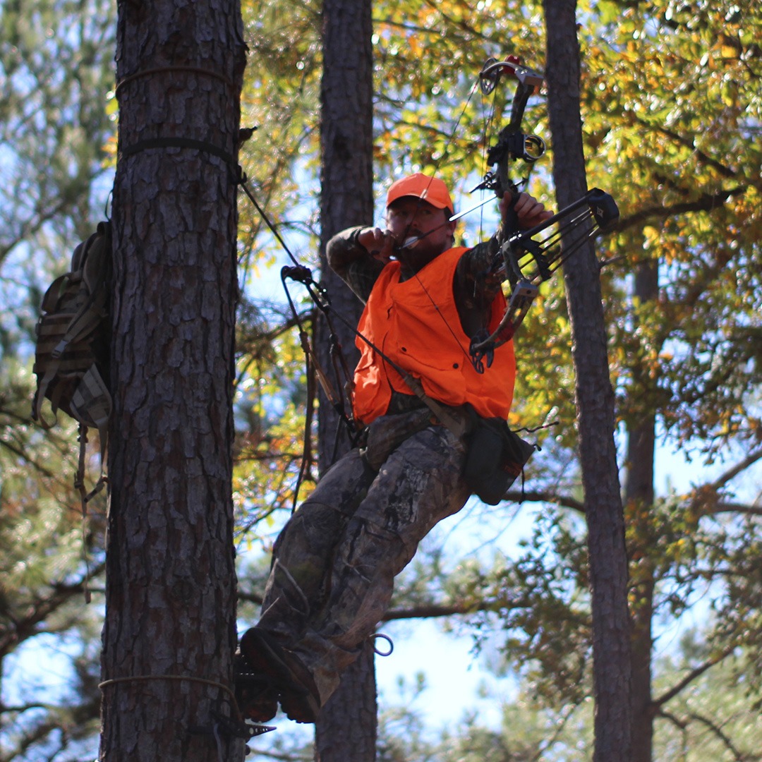 a person tree standing and hunting with a bow